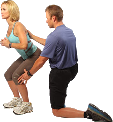 biomechanics_clear.png