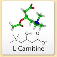 Dr Oz Why To Much L-Carnitine is Unhealthy images