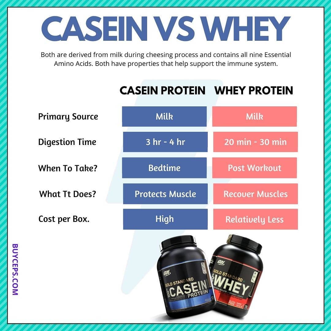 Whey vs Casein Protein Powder - Professional Personal Trainer ...