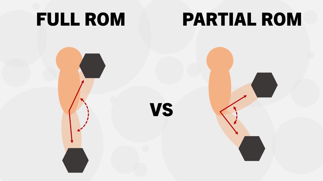 Full Range Of Motion In Exercise Explained - Professional Personal ...